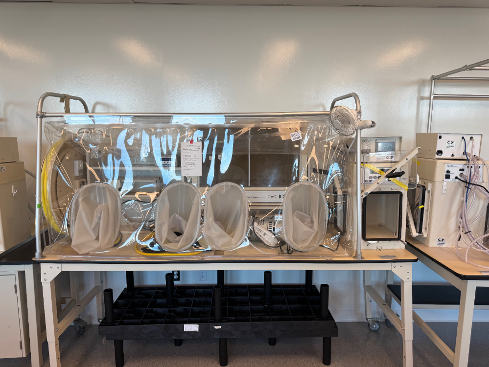 Image of Coy Anaerobic Chamber